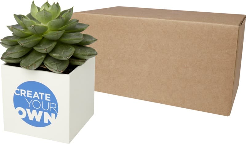 Hey Pots aluminium planted pot - succulent