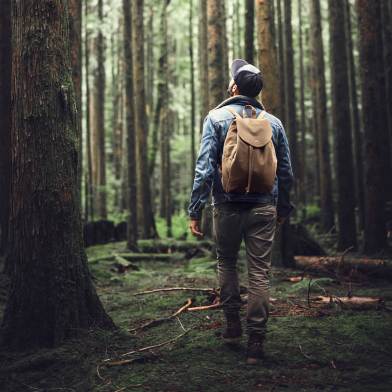 Citizen Green Natura backpack 5