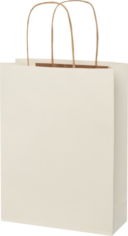 Agricultural waste 150 g/m2 paper bag with twisted handles - 24 x 9 x 32 cm 4