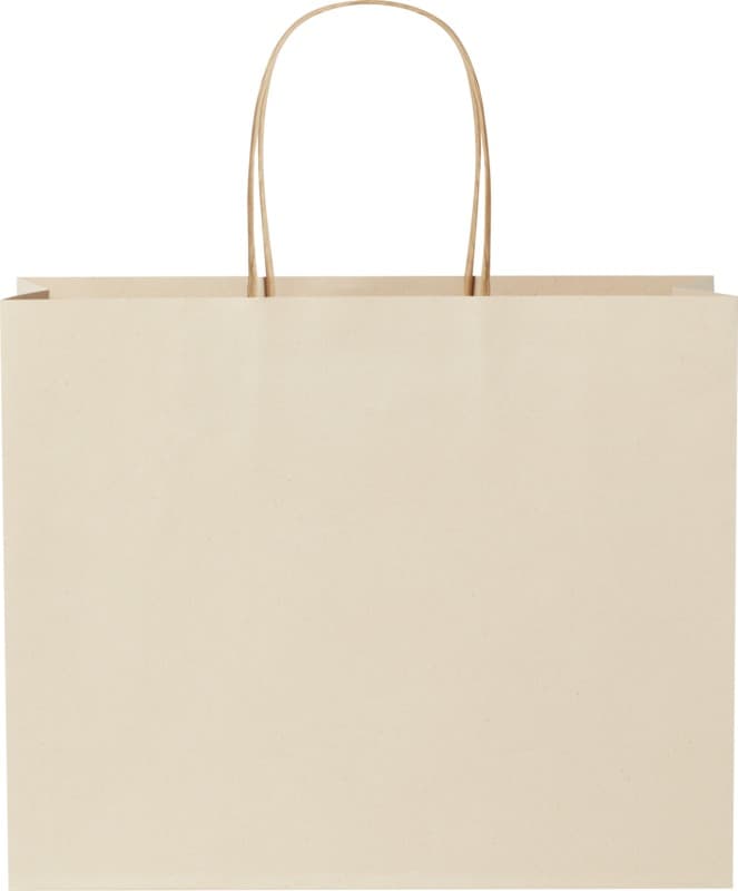 Agricultural waste 150 g/m2 paper bag with twisted handles - 31 x 12 x 25 cm 3