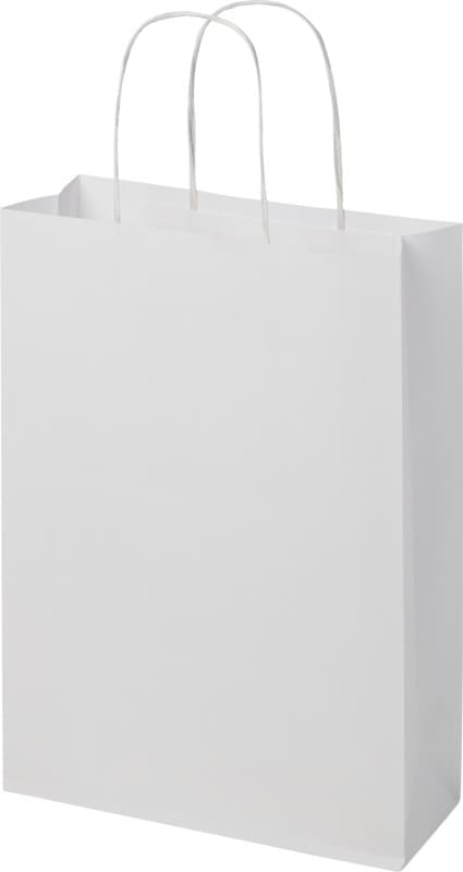 Kraft 120 g/m2 paper bag with twisted handles - 24 x 9 x 32 cm 4