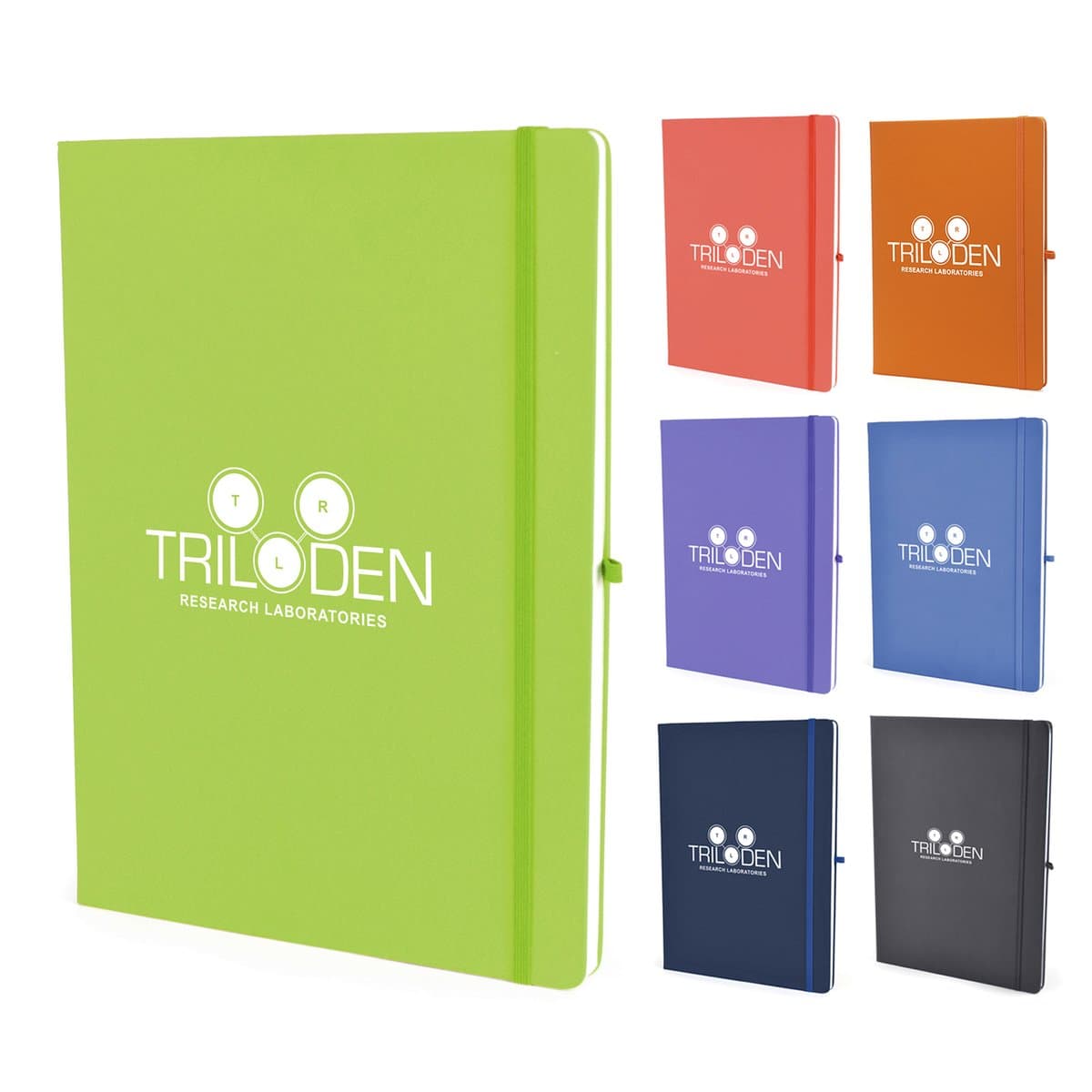 A4 Mole Notebook