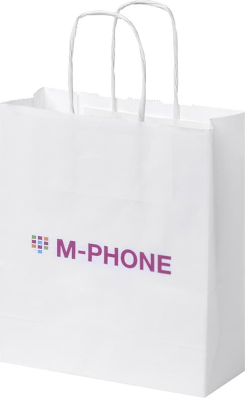 Kraft 80 g/m2 paper bag with twisted handles - 18 x 8 x 21 cm