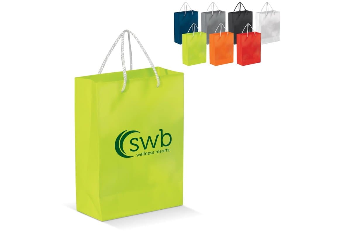 Paper bag large