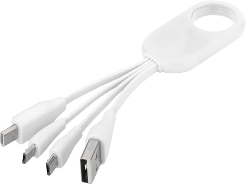 Troup 4-in-1 charging cable with type-C tip