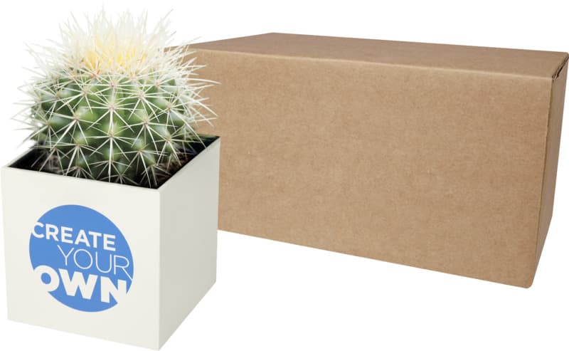 Hey Pots aluminium planted pot - cactus